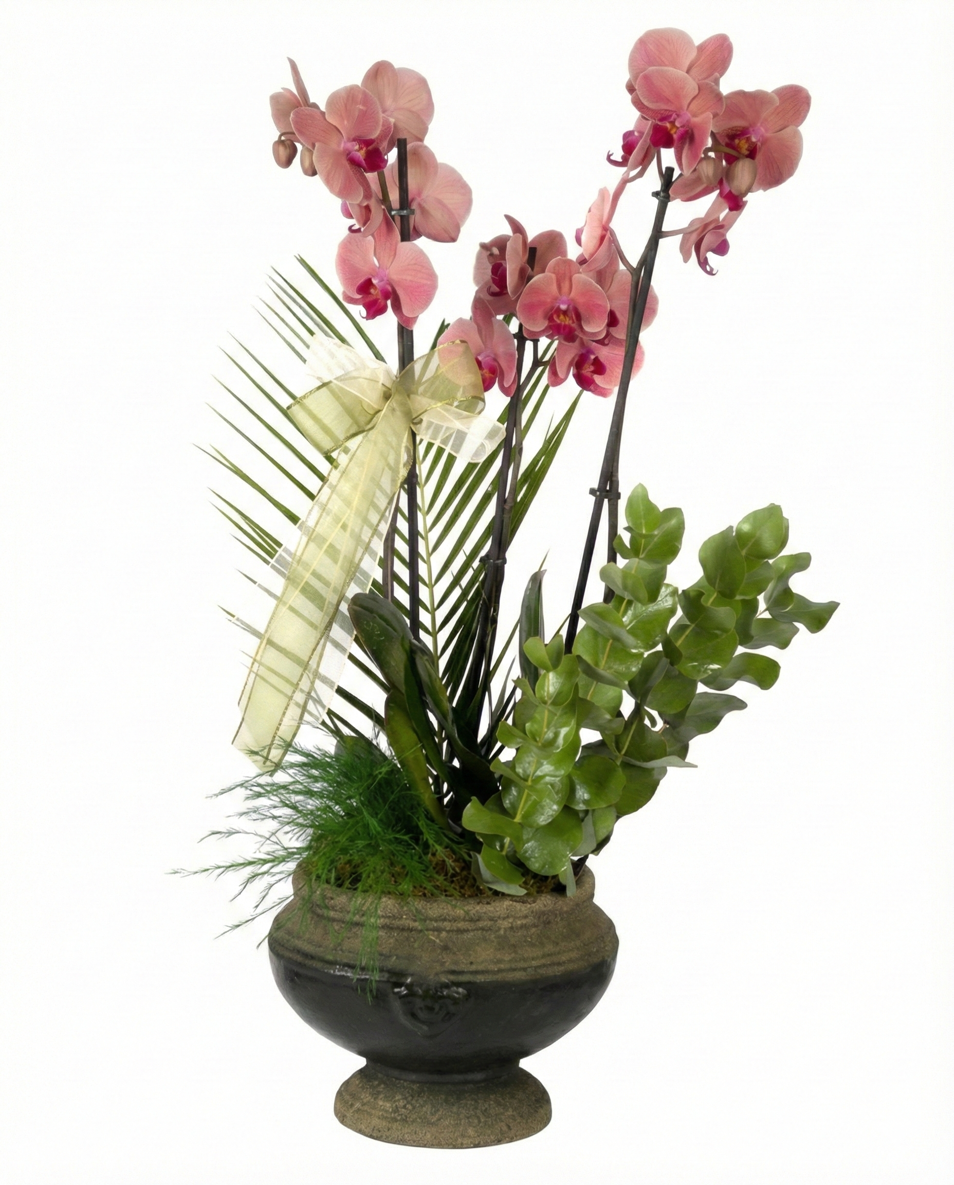 Grande Premium Orkide