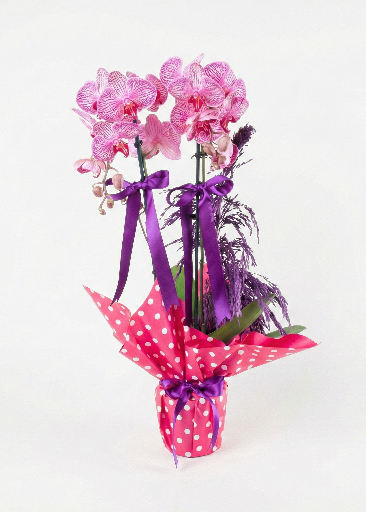 Kırçıllı Fuşya Orkide Aranjmanı İki Dal