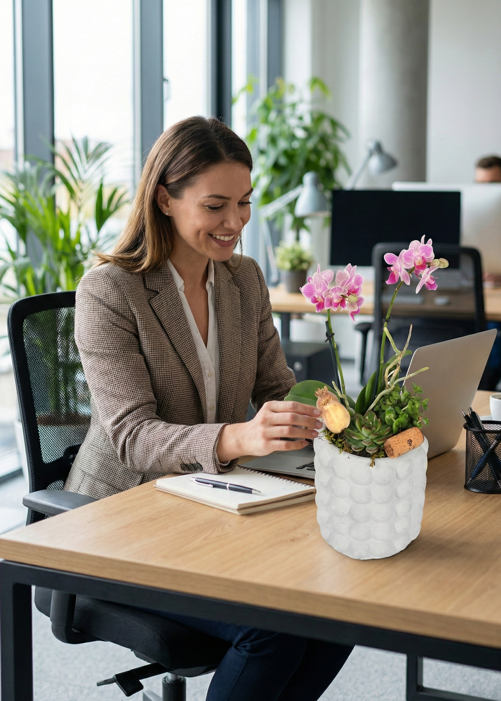 Butterfly Midi Orkide